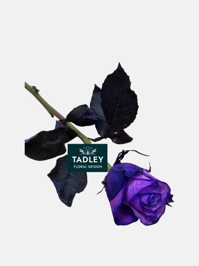 Single Farewell Purple Dyed Roses & Graveside Condolence Stems