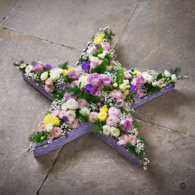 Shining Star Tribute