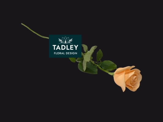 Single Farewell Peach Roses & Graveside Condolence Stems